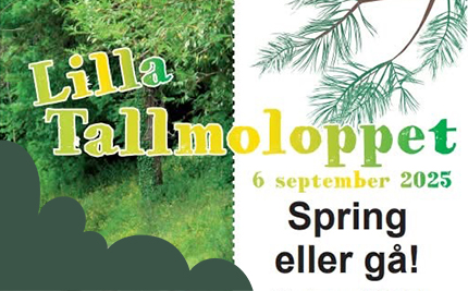 Lilla Tallmoloppet