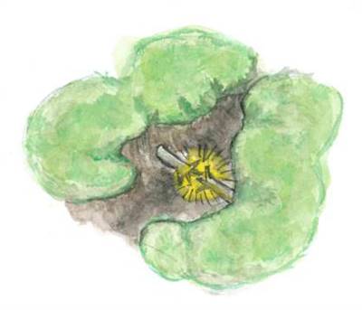Illustration