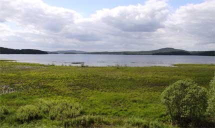 Vy från bysjöns fågeltorn