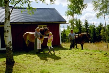 Säterliv