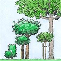 Illustration växlighet Illustration när det blir fel