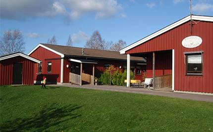 Gullvivan äldre.jpg