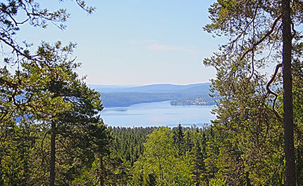 Utsikt från Valfjället, sjön Hugn syns mellan träden