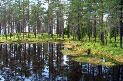 Naturreservatet Gråberget