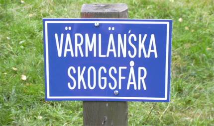 Skylt med texten "Värmländska skogsfår"