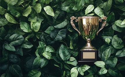 Pokal bland grönskande blad