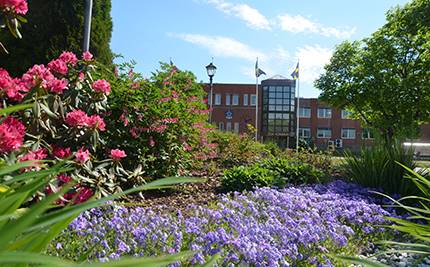 Blommor framför kommunhuset i Charlottenberg