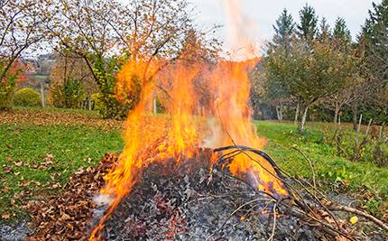 Brasa av trädgårdsavfall, gula blad på marken