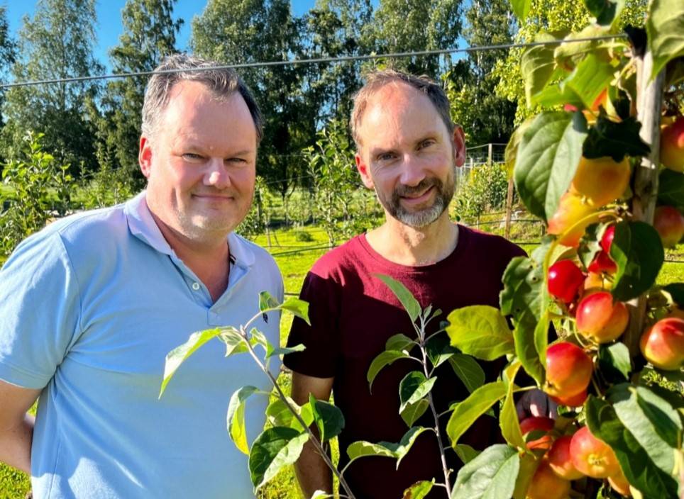 Företagare bakom ett mindre äppelträd