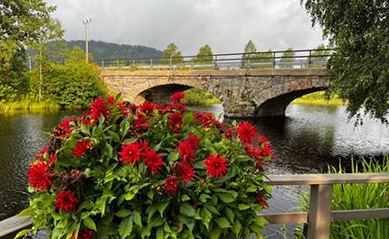 Röda blommor framför stenbro i Häljeboda