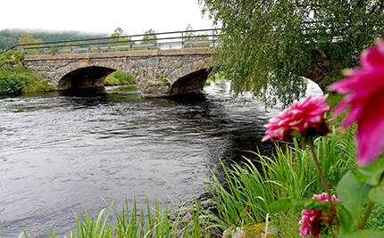 Bro i Häljeboda med blommor i förgrunden
