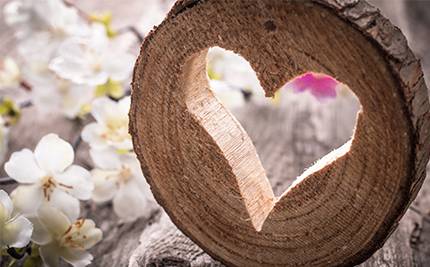 Utsågat hjärta i träkubb, blommor bakom