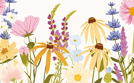 En bild som beskriver Käringkväll