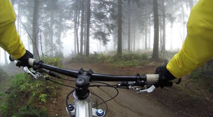 cykel på skogsväg
