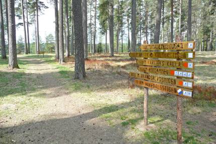 Elljusspår vid Tallmon i Charlottenberg
